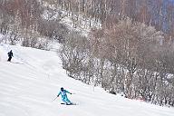20190302-094533-0