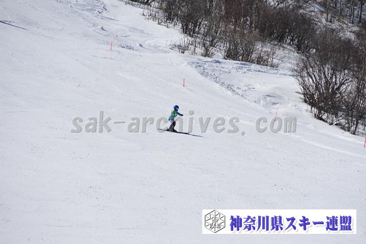 20190302-121543-0.jpg