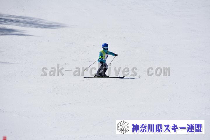 20190302-121559-0.jpg