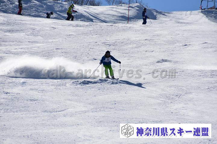 20190302-133558-0.jpg