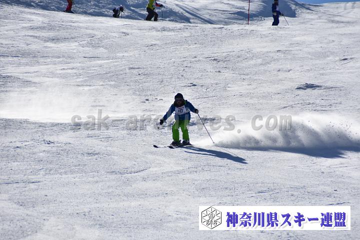 20190302-133559-1.jpg