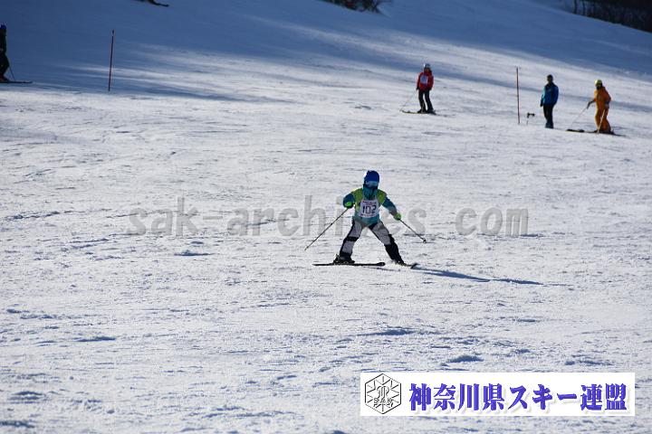 20190302-151942-1.jpg