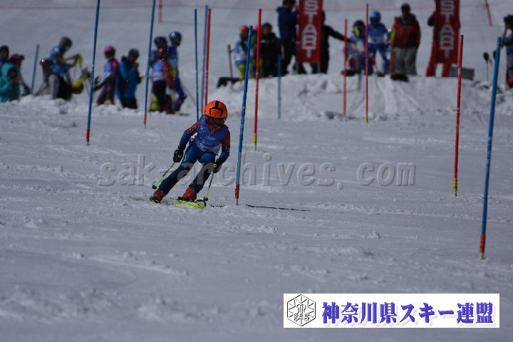 190309_123427_1.jpg