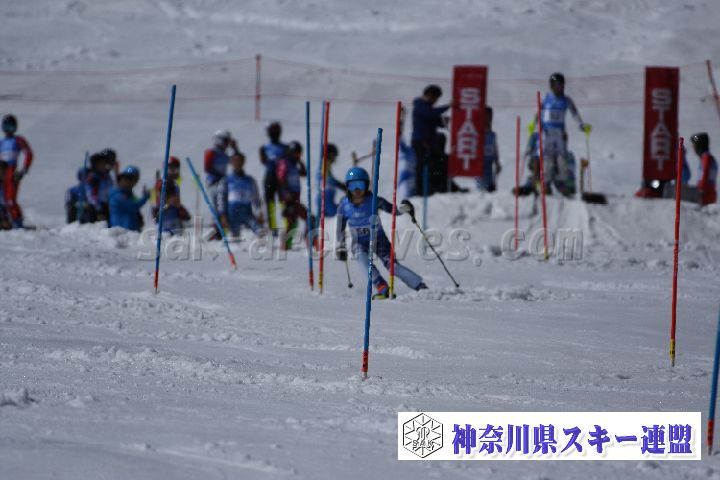 190309_124941_0.jpg