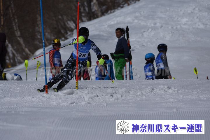 190309_102858_0.jpg