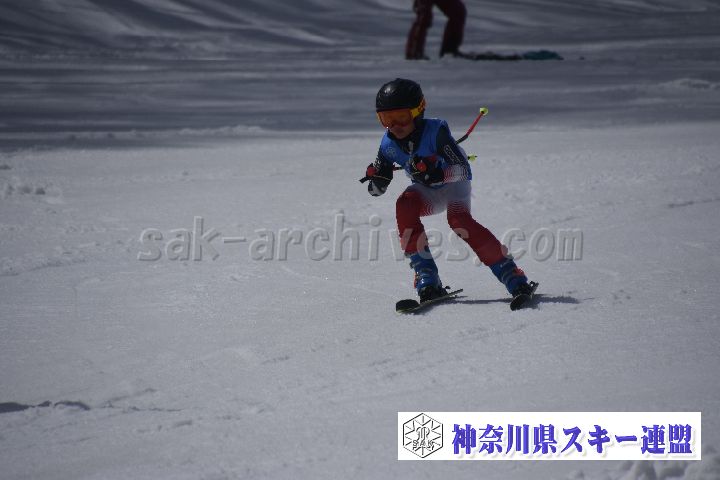 190310_120537_0.jpg