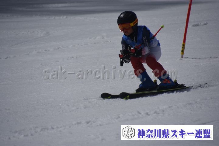 190310_120537_3.jpg
