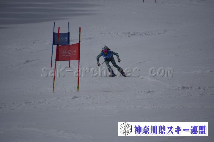 190310_122427_5.jpg