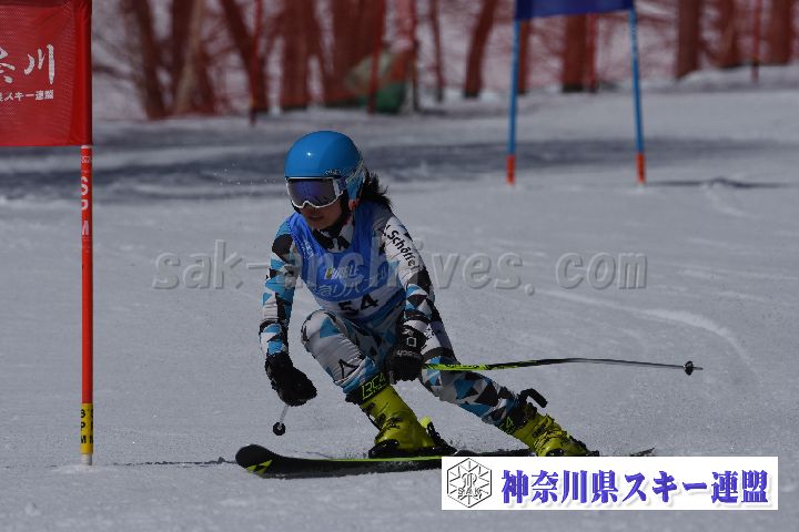 190310_100008_3.jpg