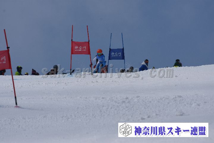 190316_113736_0.jpg