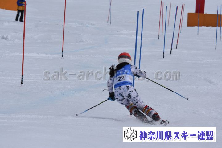 190317_125048_0.jpg
