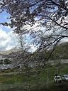 080503_161438_0