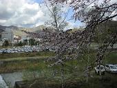 080503_161516_0