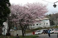 080503_175151_0