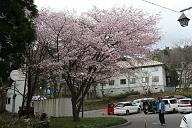 080503_175153_0