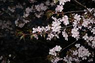 080503_184705_0
