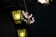 080503_184730_0
