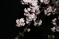 080503_184740_0