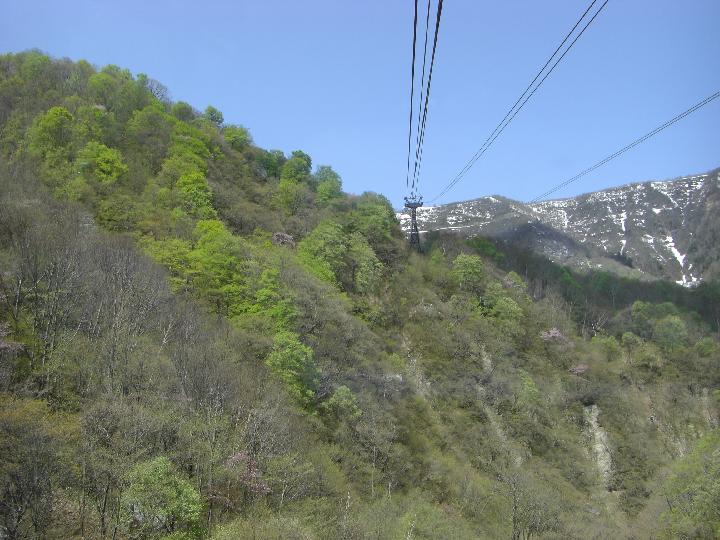 080504_102856_0.jpg