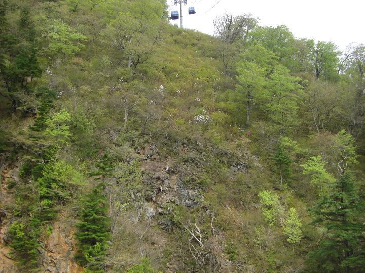 080505_100759_0.jpg