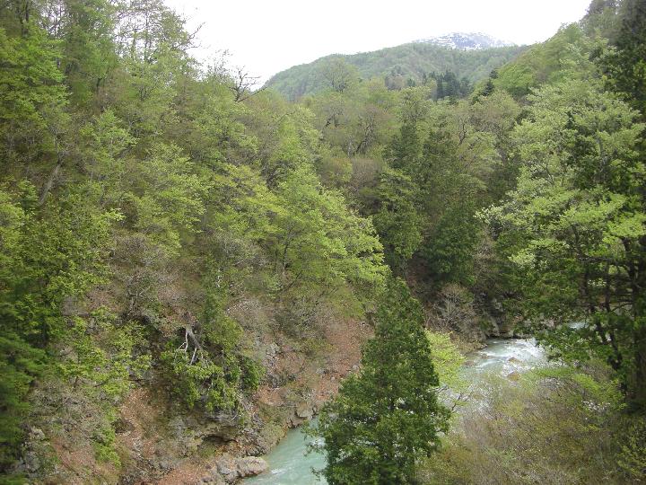 080505_100803_0.jpg