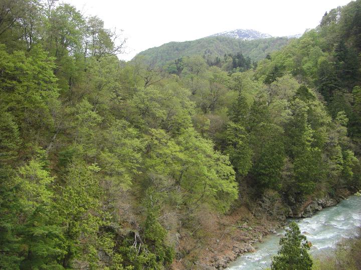 080505_100805_0.jpg