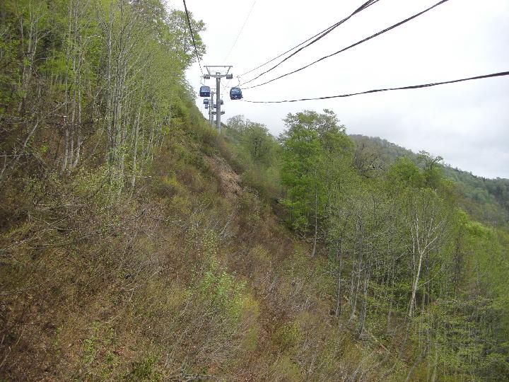 080505_100901_0.jpg