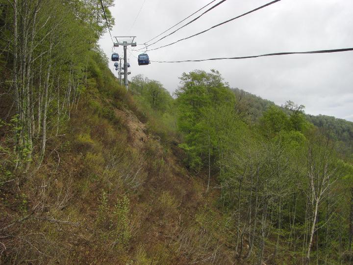 080505_100904_0.jpg