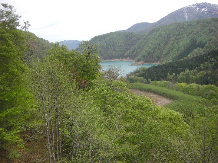 080505_100915_0.jpg
