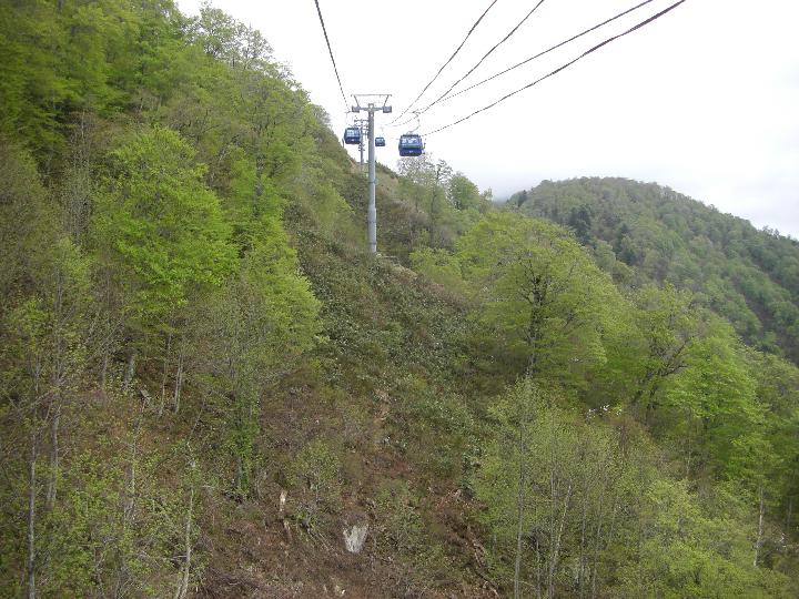080505_100932_0.jpg