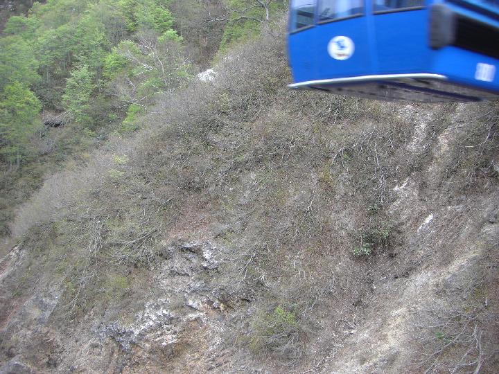 080505_101335_0.jpg