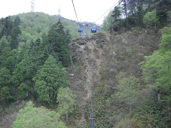 080505_101354_0.jpg
