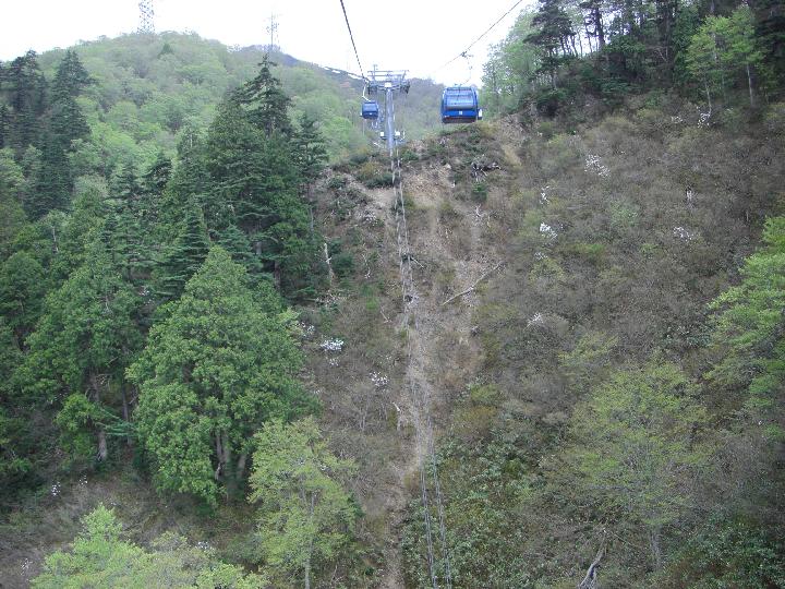 080505_101357_0.jpg