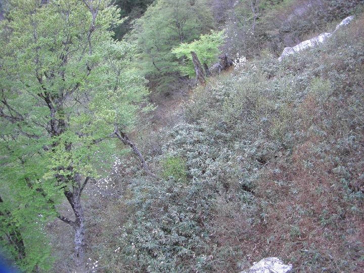 080505_160445_0.jpg