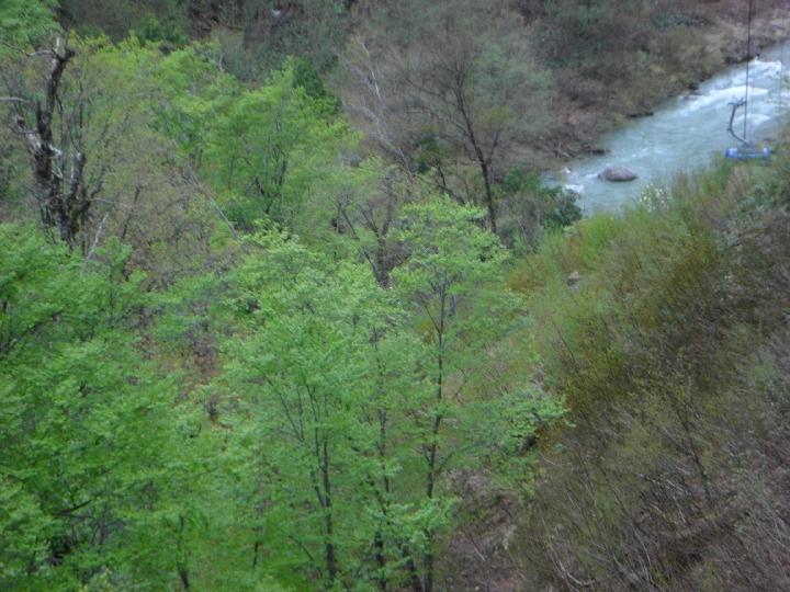 080505_160713_0.jpg