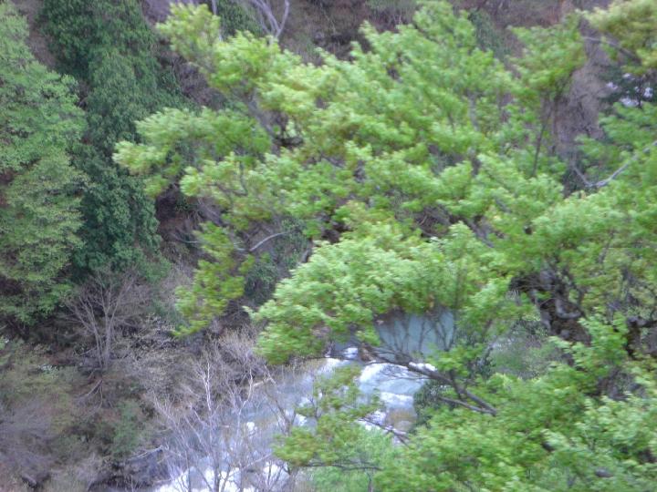 080505_160729_0.jpg