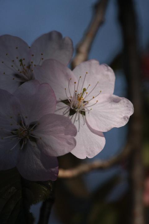 080504_164157_0.jpg
