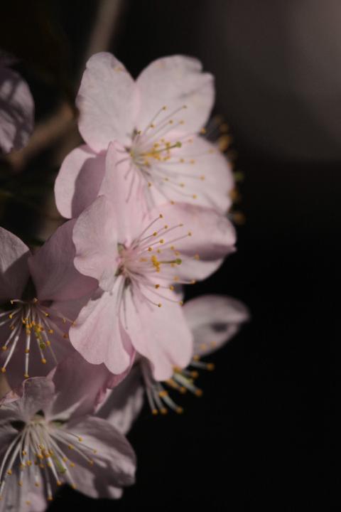 080504_164233_0.jpg