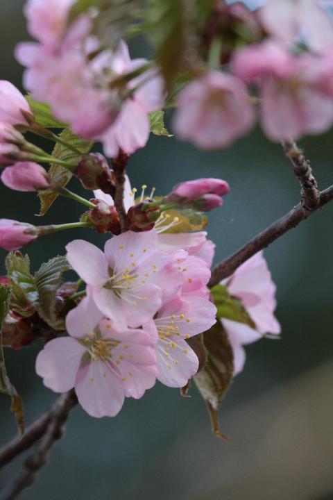 080504_164343_0.jpg