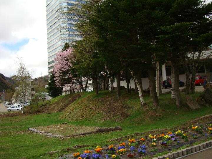 080503_215452_0.jpg
