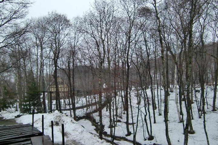 090320_070210_0.jpg
