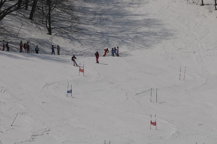 090321_113039_0.jpg