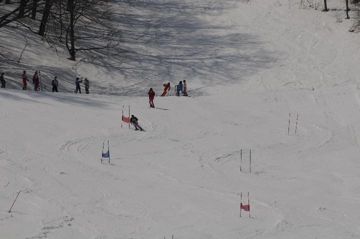 090321_113040_0.jpg