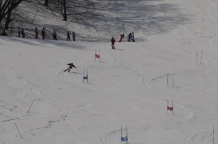 090321_113041_0.jpg