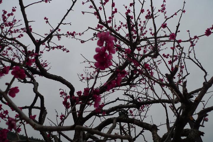 090322_155630_0.jpg