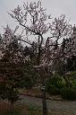 090322_162035_0