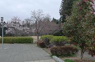 090322_162044_0