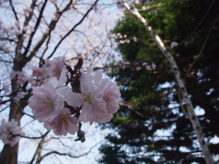 090502_150517_0.jpg