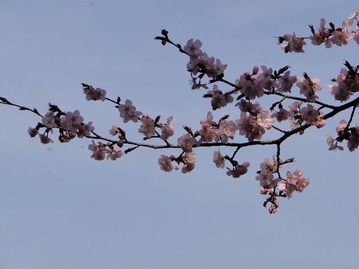 090502_150640_0.jpg