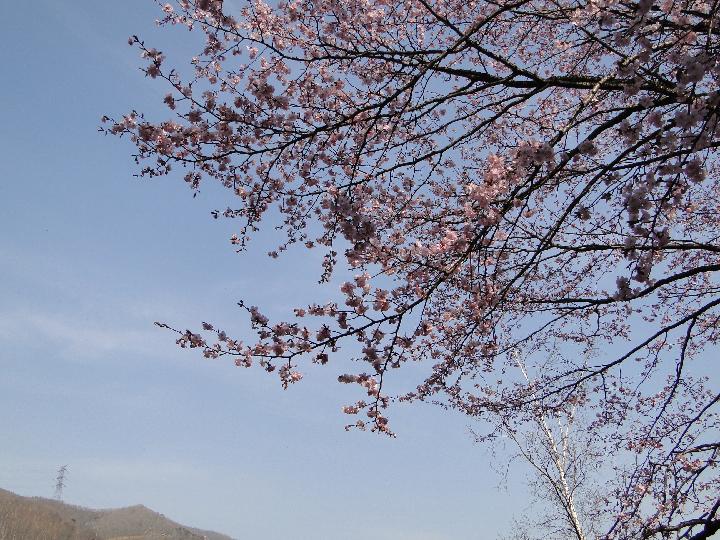 090502_150706_0.jpg